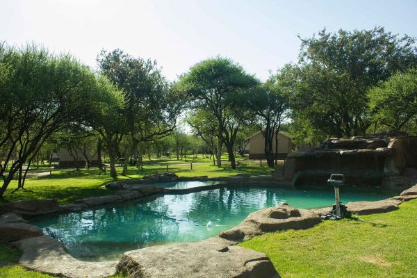 Thabaledi-Game-Lodge-Swimming-Pool-Slider